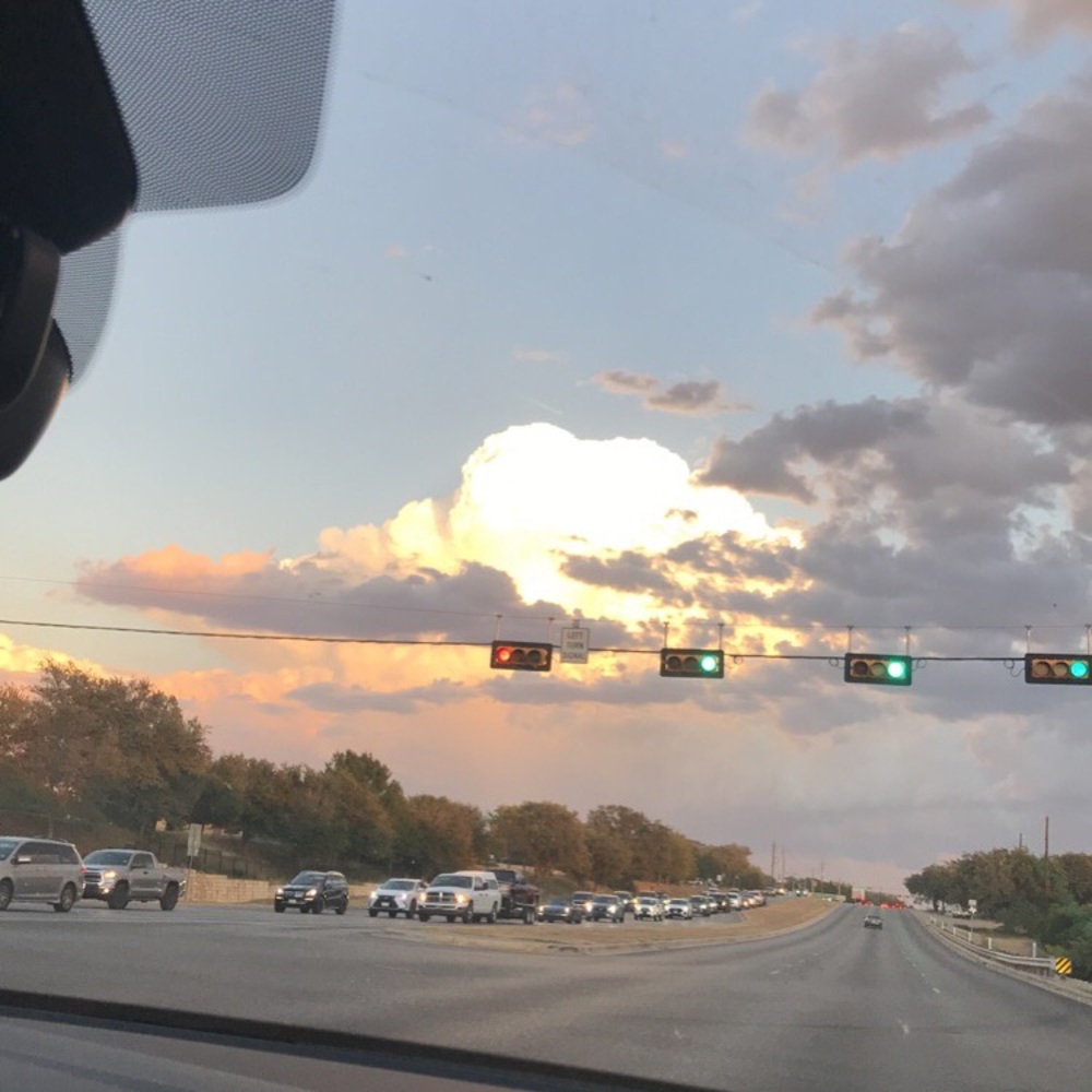 Meet your Posher, Poppy